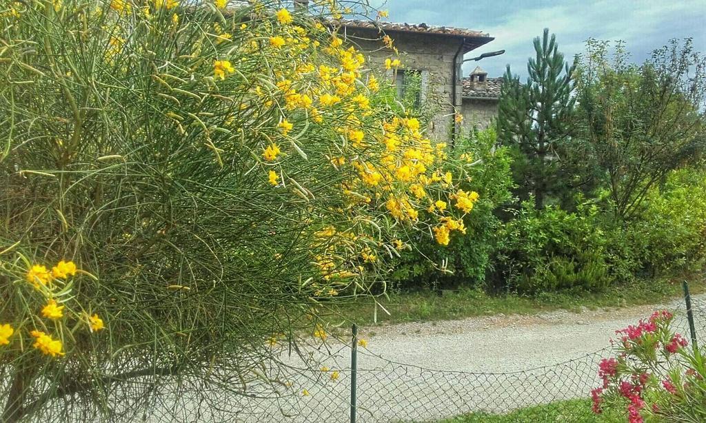B&B Casale Giovannozzi Ascoli Piceno Bagian luar foto